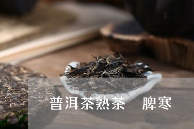 普洱茶熟茶 脾寒/2023041290583